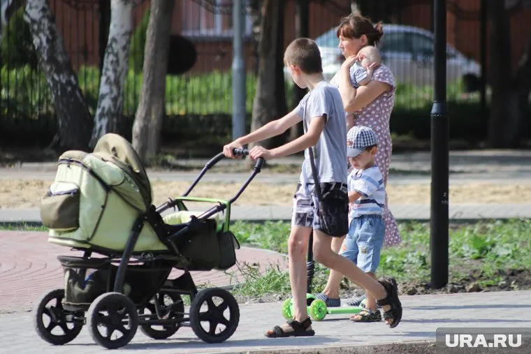 Депутат предложила новую схему расчета пособий многодетным