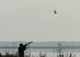 Возбуждено уголовное дело о браконьерстве в Подмосковье, где был пойман постпред свердловского губернатора