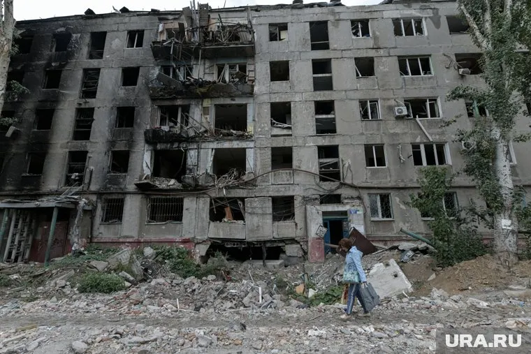 Цветы под завалами разрушенных зданий могут погибнуть