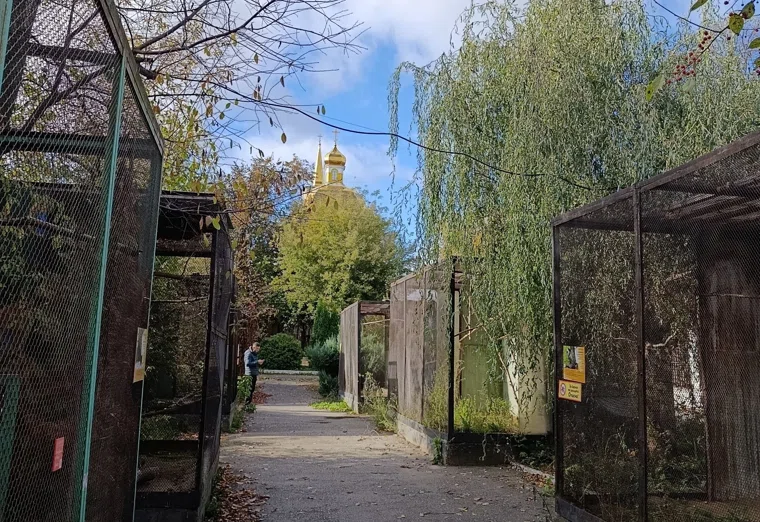 Старые вольеры зоопарка ушли под снос