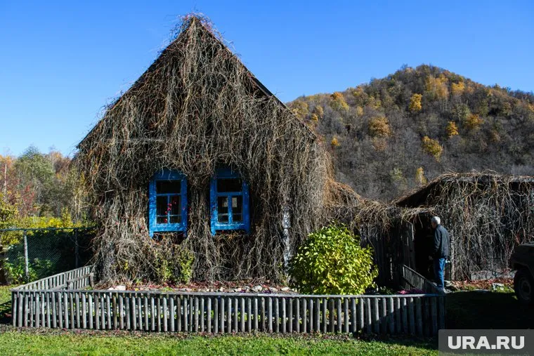 Октябрь — подходящее время, чтобы привести в порядок выращенные культуры, а также посадить новые саженцы