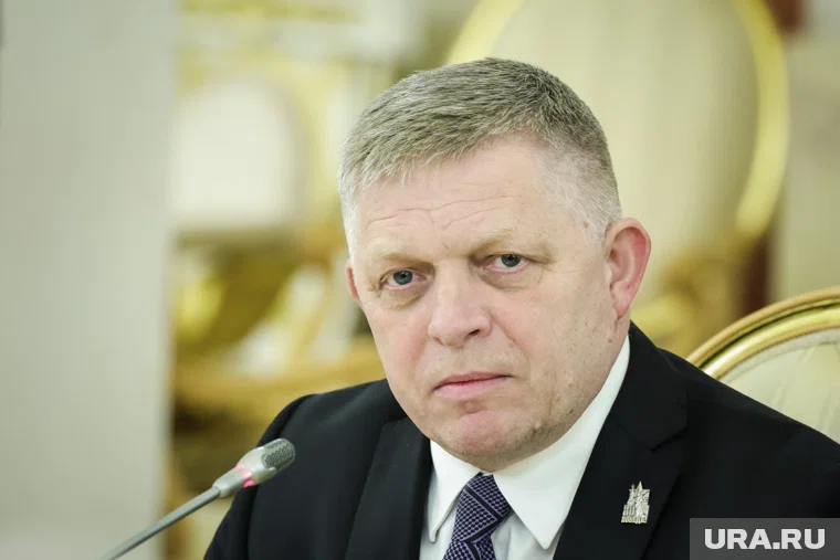 Фицо передаст Путину послание Зеленского на встрече 9 мая в Москве — image 3