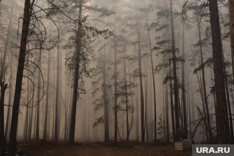 В 10 апреля в Курганской области объявят пожароопасный сезон