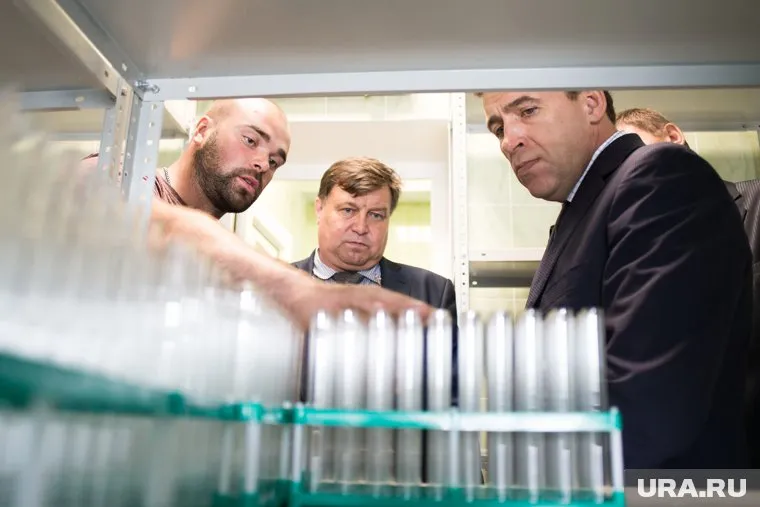 Как объяснили Евгению Куйвашеву, скоро Свердловская область перестанет кормить Голландию