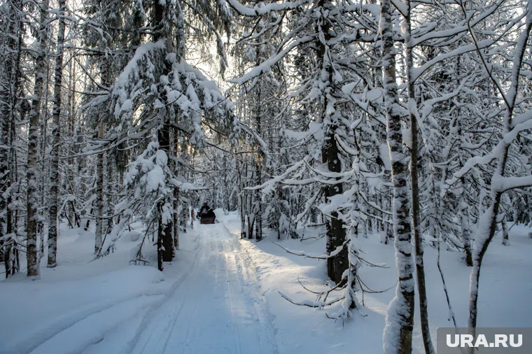 Поиски Усольцевых возобновят ближе к весне, когда спадет снежный покров