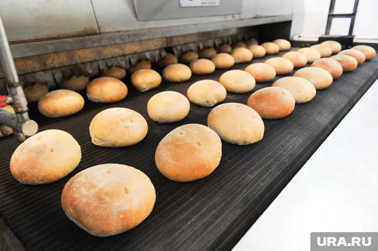 Хлеб для школ и больниц должен быть обогащен витаминами