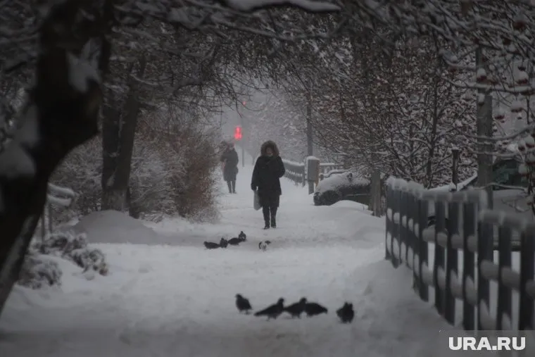 Ветер местами достигнет до 17 м/с