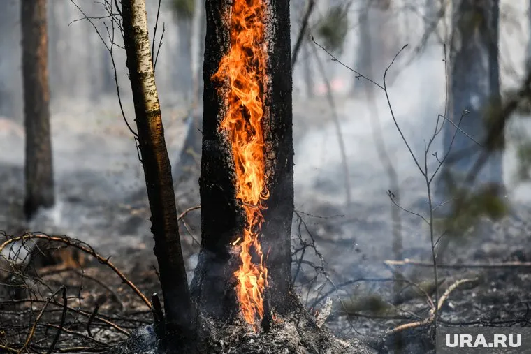 За нарушение пожарной безопасности выписано 76 штрафов