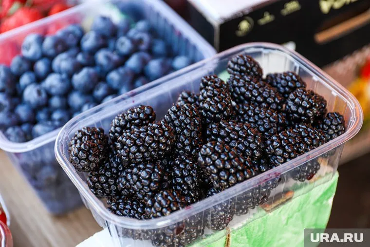 Югорчанам советуют не покупать ягоды у дорог