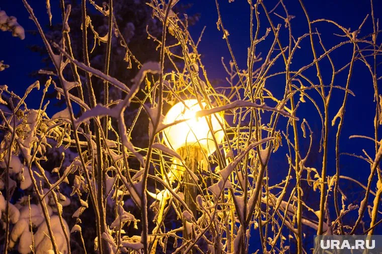 Холоднее всего будет ночь с 5 на 6 июня