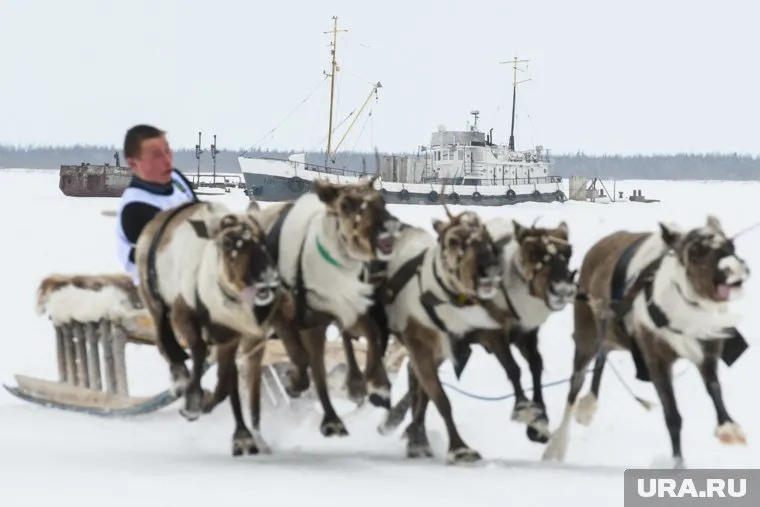 Россия готовит с партнерами глобальные проекты по развитию Арктики