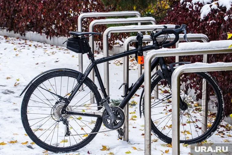 Длина новогоднего маршрута составляет 13 км, а его продолжительность — 1,5 часа