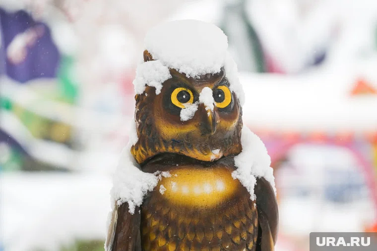 Ветер южный со скоростью 4 м/с