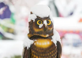 В Тюмень придут снегопад и порывистый южный ветер