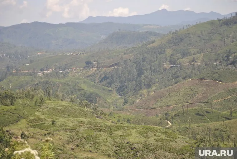 Артур Бакаев заявил, что в скором времени родственники погибшего выложат видео с подробностями трагедии