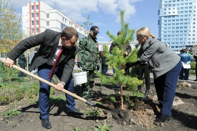 Высадка деревьев в Литературном сквере, возле Челябинской областной публичной библиотеки. Челябинск, лавров сергей, соколова екатерина, высадка сосны
