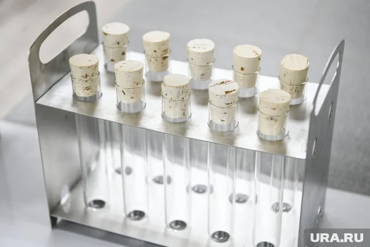 Контрабанду яйцеклеток на 2,5 миллиона рублей задержали на таможне Владикавказа