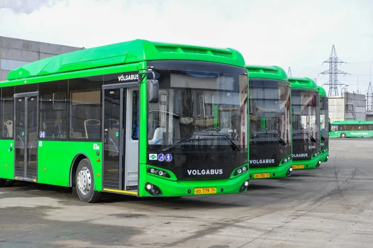 Лошкин с гармошкой. Челябинск