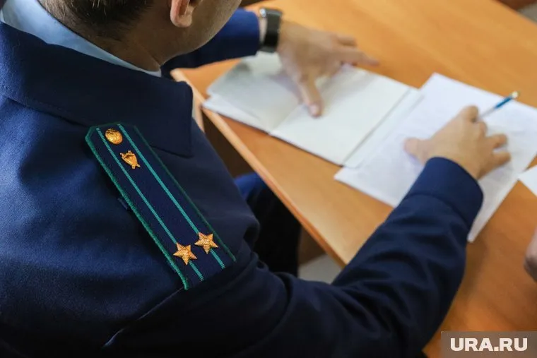 Курганские семьи могут пожаловаться в Генпрокуратуру на проблемы в школах