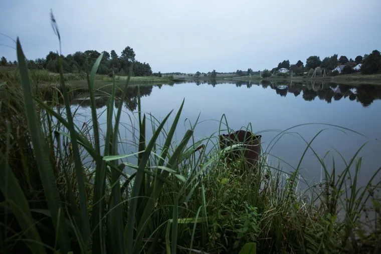 Деревня Нечесово. Московская область, Шаховской район