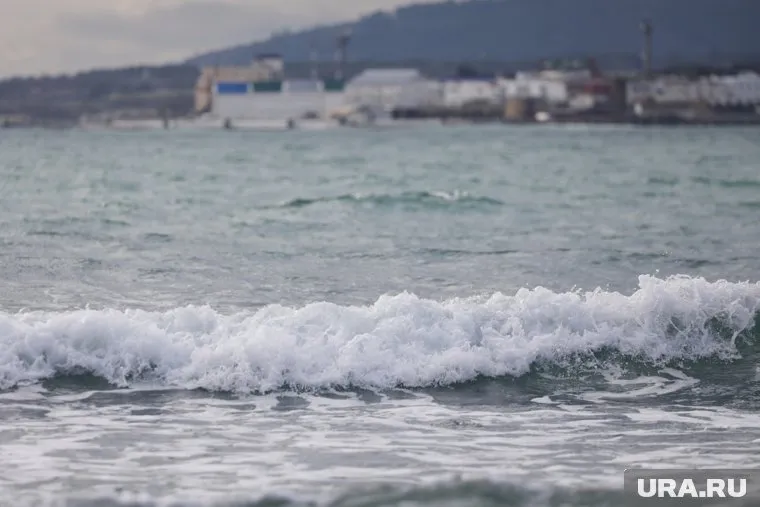 Американский дрон был обнаружен вблизи границ РФ над Черным морем