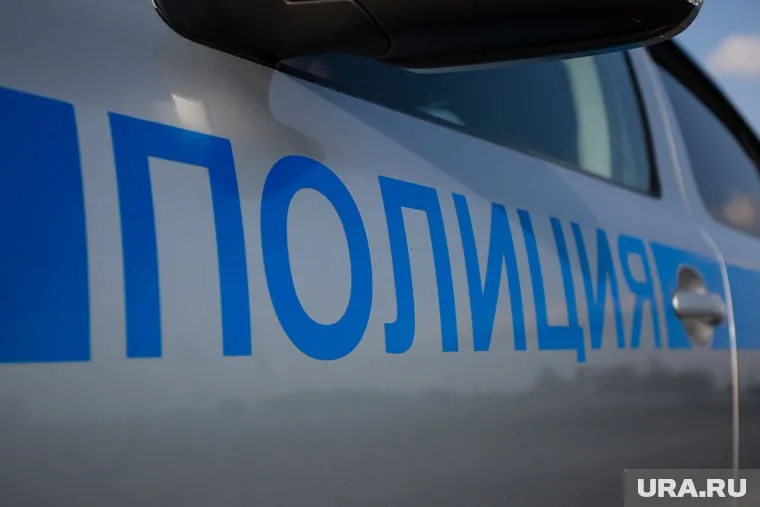 В деле разбирается полиция