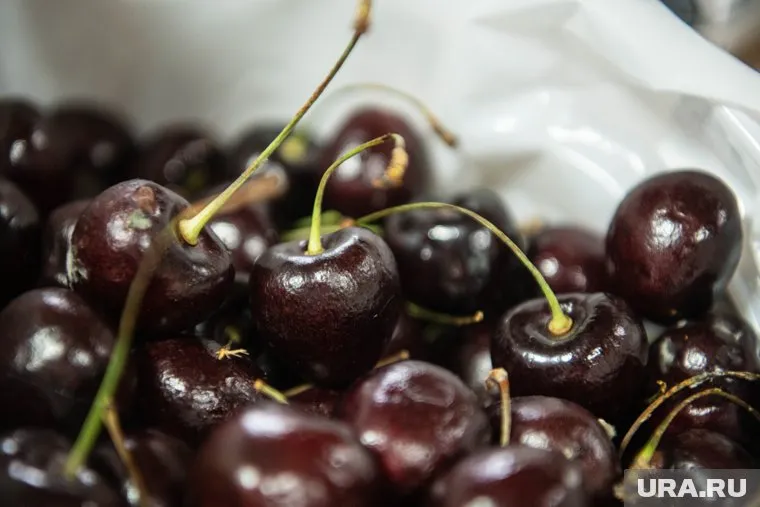 Молодую черешню можно удобрять только весной