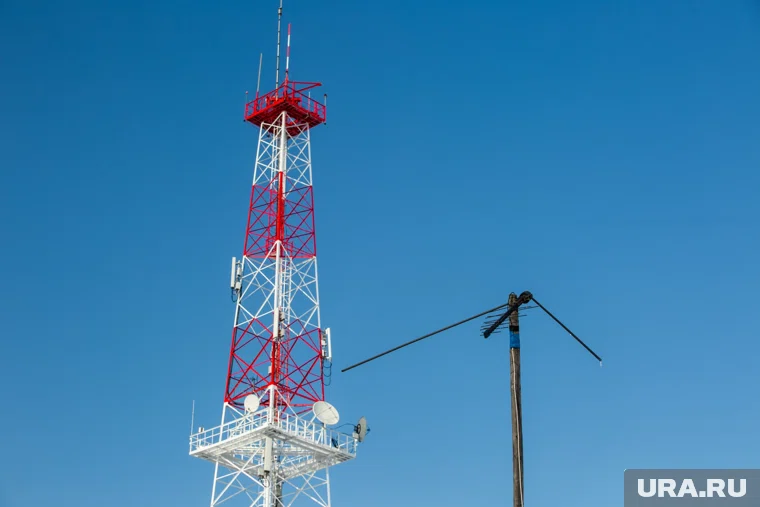 Мужчина пошел на преступление за денежное вознаграждение