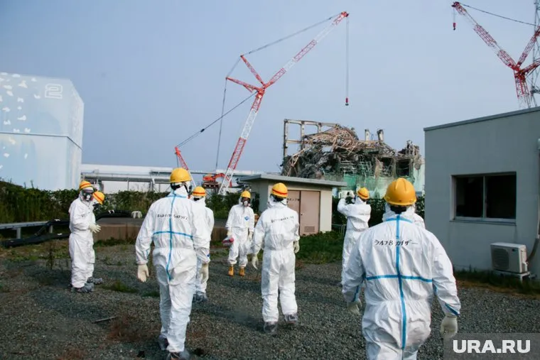 Боеприпас попался на глаза рабочим