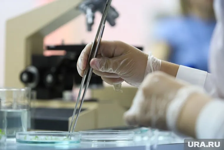 В СурГУ открыли классы допобразования, посвященные генетике