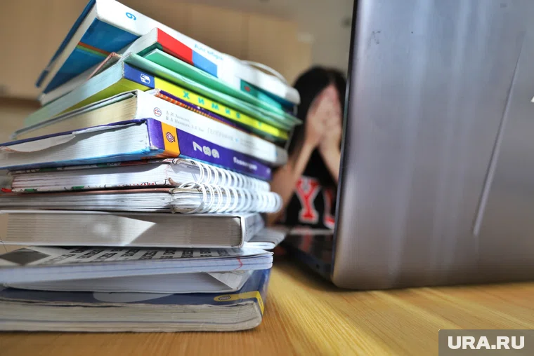 Курганские психологи советуют родителям заменить критику на поддержку