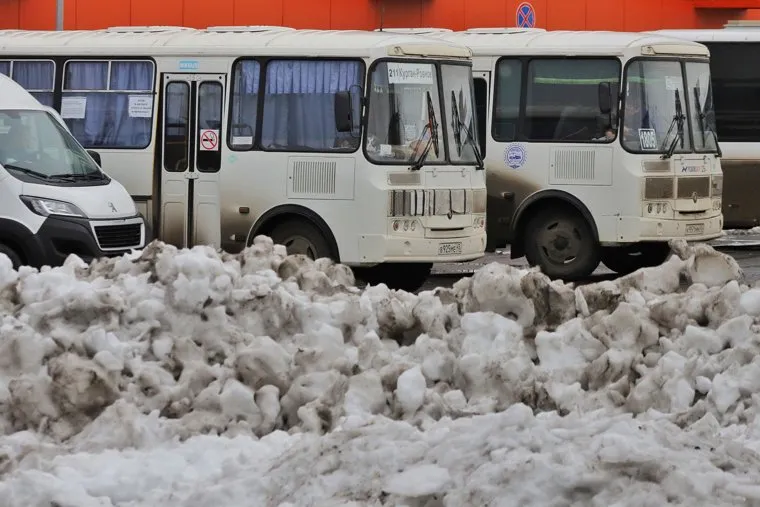 Город.  Курган