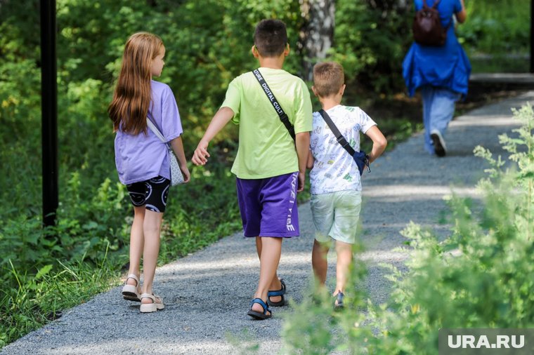 Украсть лето у детей: что известно о предложении сократить летние каникулы в России