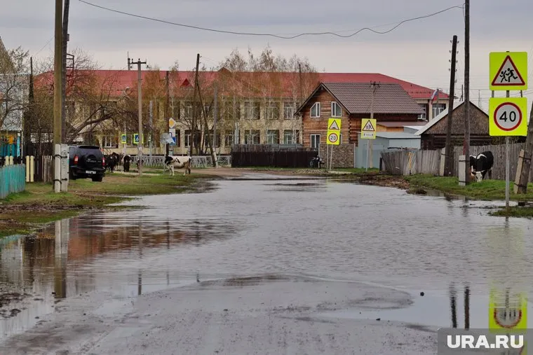 В селе Рычково комиссия проверила подтопленные дома и вынесла решение о помощи
