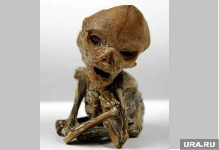 Генетическая экспертиза подтвердила: останки определенно принадлежат человеческому ребенку-мутанту