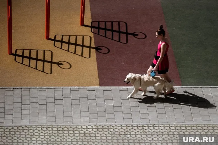 Сидеть по домам жителей обязали до конца месяца