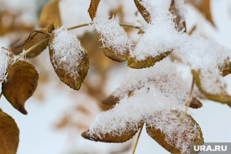 В Челябинске ожидаются кратковременные зимние осадки