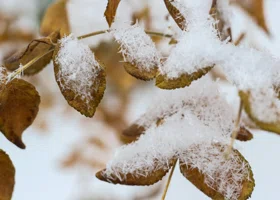 Синоптики раскрыли, какая погода ждет челябинцев в последние осенние выходные