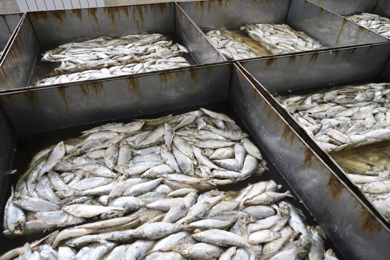 Визит врио губернатора Вадима Шумкова в Петуховский район. Курган