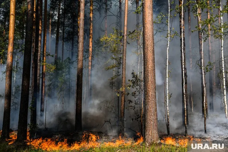Спасатели тушат 32 лесных пожара в регионе