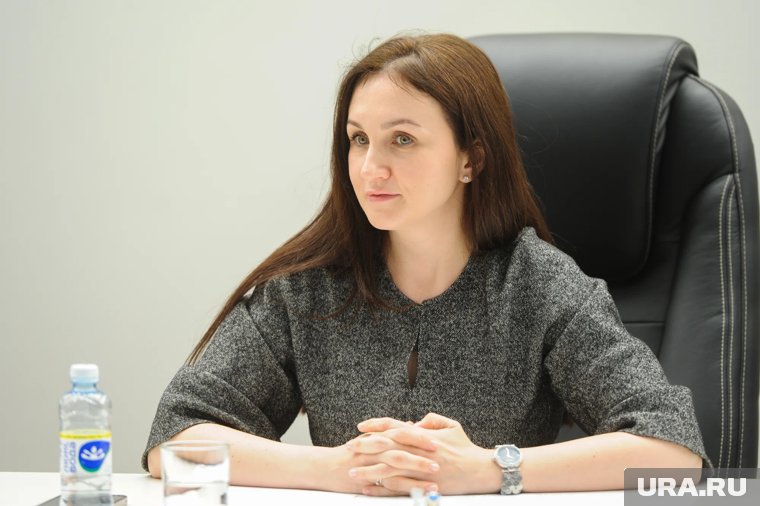 Силовики задержали экс-главу комитета по культуре Челябинска Халикову