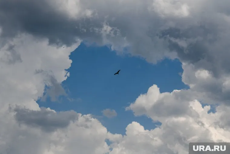 В небе увидели «утреннюю глорию»