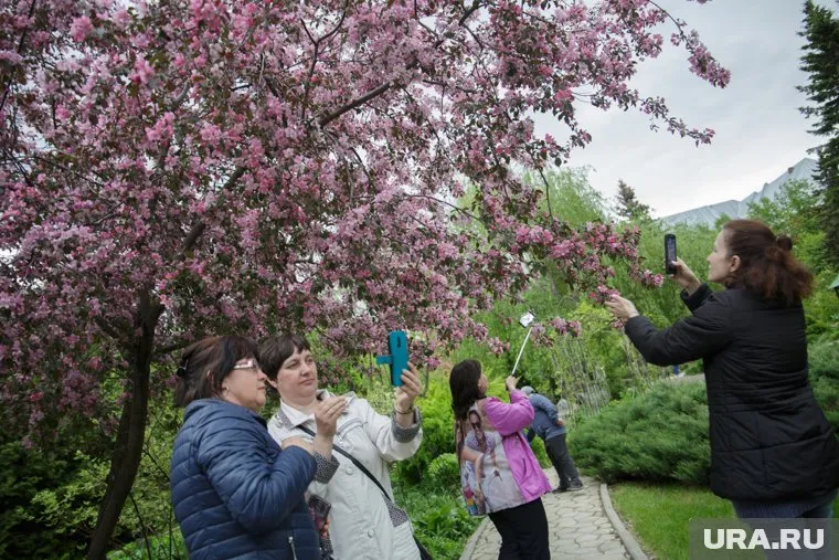 Согласно неутвержденной программе, ботанический сад планируют ликвидировать в 2025 году