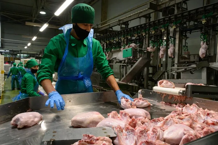 Птицефабрика "Рефтинская". Свердловская область, Рефтинский