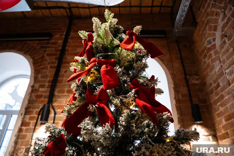 Заснеженные ели покупать не рекомендуют