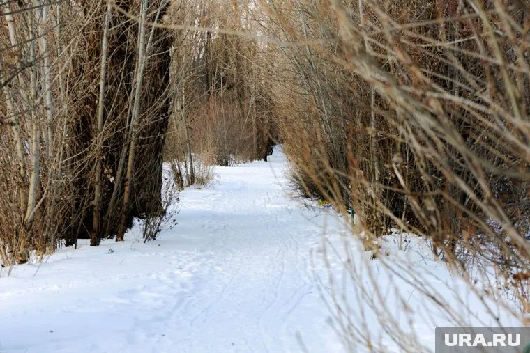 Высота снежного покрова местами достигла 13 сантиметров