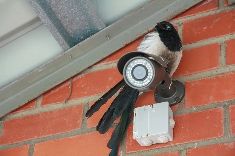 Клипарт. Магнитогорск