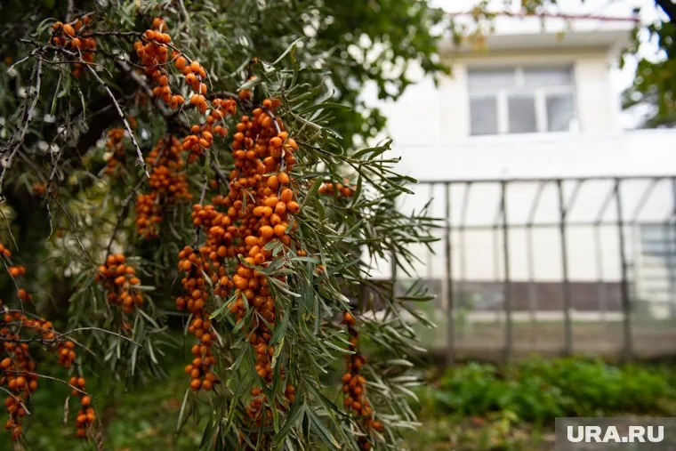 Площадь земельного участка «под магазин» составляет 449 квадратных метров