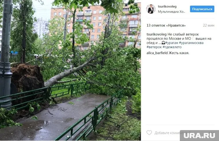 Аномалия в столице уносит все больше жизней