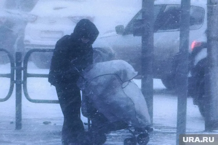 В Курганской области ожидается снег и сильный ветер 